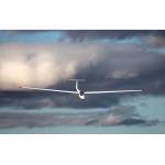 Janus on Final